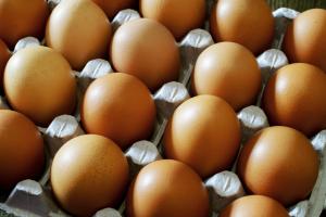 Autoridades detectan aumento de contrabando de huevos de México a EE.UU. que pueden provocar multas de hasta $10,000 dólares