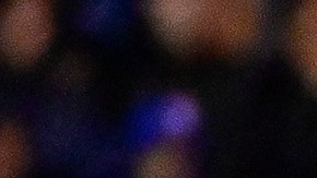 Imago-1302425