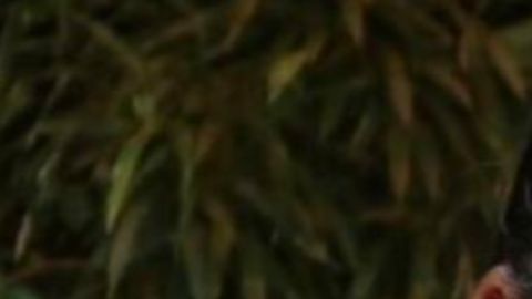 Imagen del pescador desaparecido Mark Knittle.