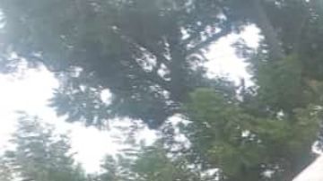 Imágenes del accidente ocurrido en Senegal.