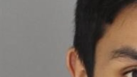 Pinedo fue procesado en el Tribunal de Distrito 52-2 en Independence Township por un cargo de asalto con intención de asesinar.