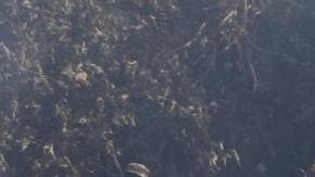 Accidente aéreo Nepal