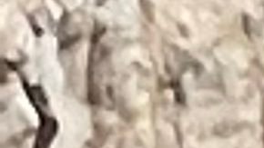 Accidente Tesla California