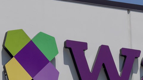 Wayfair fue una de las compañías que más dinero ganó durante la fase crítica de la pandemia de COVID-19