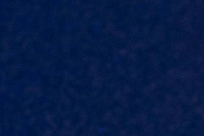 La batería del iPhone 16 sería mejor que los modelos anteriores.