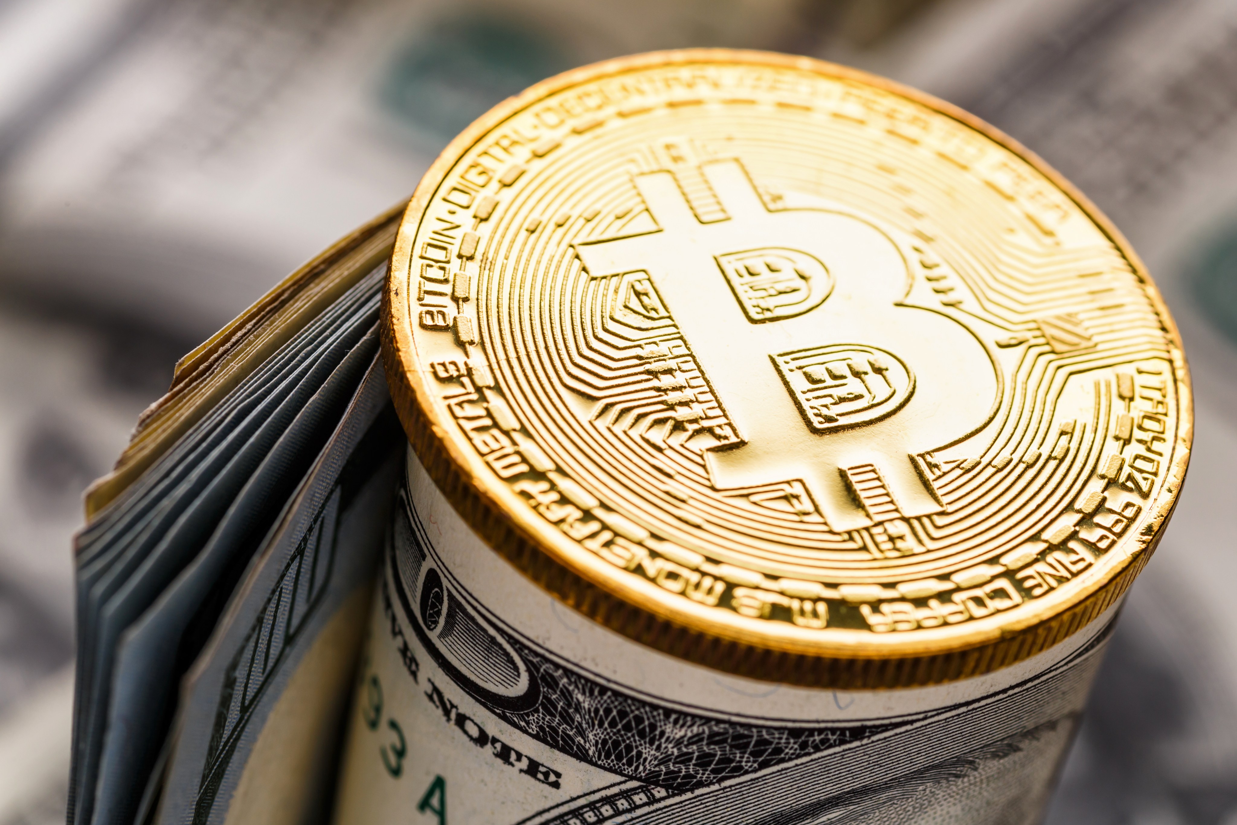 Por qué el Bitcoin sube y baja de precio tanto - El Diario NY