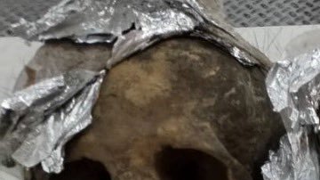 Hallan cráneos en paquete en aeropuerto de Querétaro