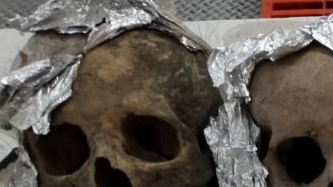 Hallan cráneos en paquete en aeropuerto de Querétaro
