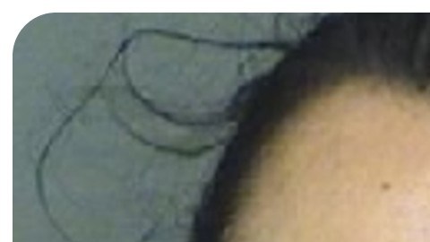 Madre e hijo en Florida enfrentan cargos de administrar una casa de prostitución.