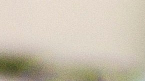 mega-millions-powerball