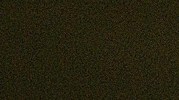 Más de 11,000 castores están impactando la tundra de Alaska.