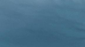 La red operaba en Nueva York, Connecticut, Nueva Jersey, Maryland, Boston, Filadelfia, Virginia y Washington, DC.