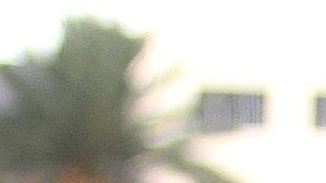 Leopoldo Roberto García Peláez Benítez, 'Polo Polo'.