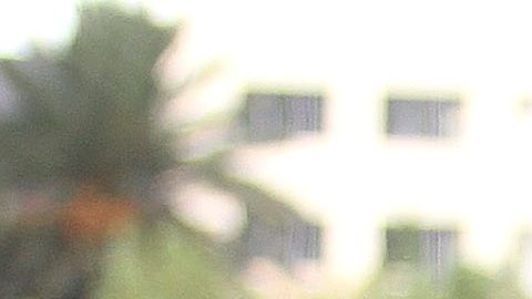 Leopoldo Roberto García Peláez Benítez, 'Polo Polo'.