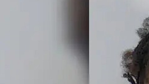 woman-charged-florida-elderly-couple-murder-feat-image