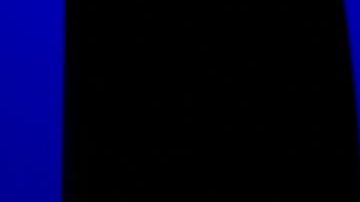 Presidente del condado de Brooklyn, Antonio Reynoso