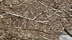 Sus nombres fueron grabados en una pequeña fuente erigida aproximadamente sobre el lugar donde había sido detonado el vehículo.