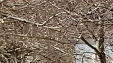 Sus nombres fueron grabados en una pequeña fuente erigida aproximadamente sobre el lugar donde había sido detonado el vehículo.