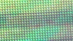 Rey Grupero salió de La Casa de los Famosos y causó sensación en el público.