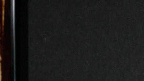 Alaïa asiste a clases de equitación.