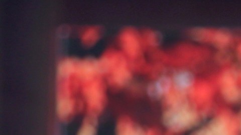 Los seguidores de Francisca se sorprenden por lo bien que habla Gennaro.