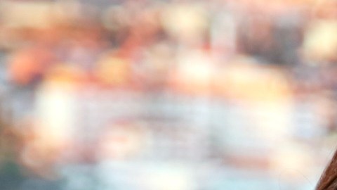 Adamari López es constante con sus videos en redes sociales.