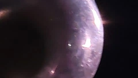 La cantante Chiquis Rivera compartió en Instagram unos sensuales pasos de baile al ritmo de 'La Bichota'.