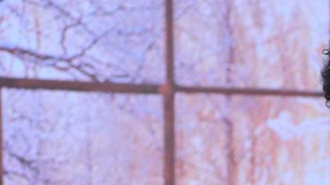 Francisca fue a Nueva York a celebrar el Día de San Valentín.