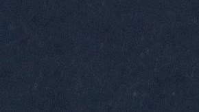 La mexicana Kate del Castillo se llevó un susto tras visitar un local.