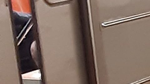 Anarquía en el Metro de NYC/Archivo.
