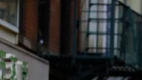 Celebración del año Nuevo Lunar