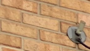 Urgen a Albany medidas para contrarrestar reducción de plan federal de beneficios de cupones de alimentos