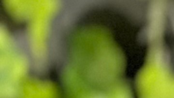 Sandra Milena Rodríguez, denuncia ngeligencia de la Escuela Intermedia 358, de Jamaica, Queens