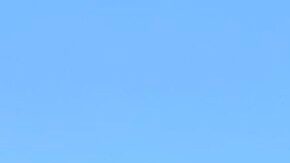 Defensores de los inmigrantes protestaron frente a la Casa Blanca.