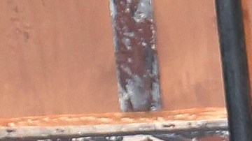 La presentadora Chikybombom agradece a la audiencia del programa por todos los piropos que suele recibir.