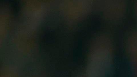 El PSG perdió 1-0 ante el Bayern Múnich.