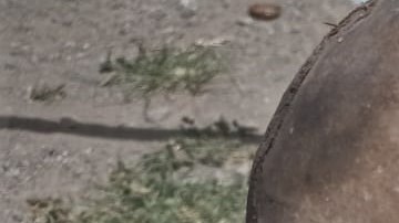 Momia en Perú