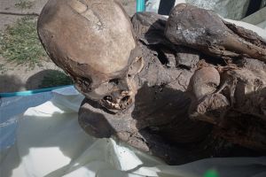 Hallan momia prehispánica en mochila de empleado de "delivery" en Perú