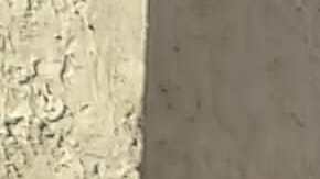 Los legisladores Kristen González, Tiffany Cabán, Zohran Mamdanies y Michael Gianaris urgen carriles protegidos para bicicletas en Astoria