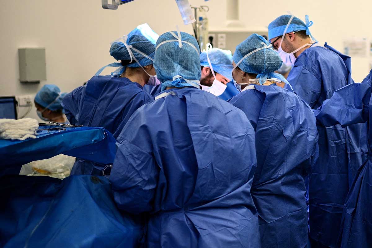 Acelerado crecimiento del aparato reproductor masculino alerta a la