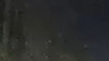 Los oficiales publicaron imágenes de vigilando de los dos delincuentes el domingo y solicitaron ayuda del público en general para poder identificarlos y capturarlos.