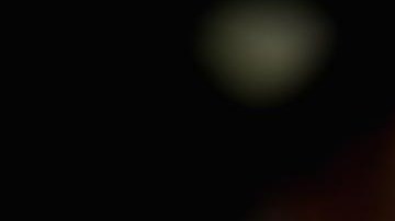 En ningún momento las cabras se mostraron renuentes a ser capturadas por la policía