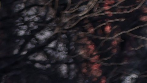 El rediseño implicará ampliar las protecciones a ciclistas y peatones.