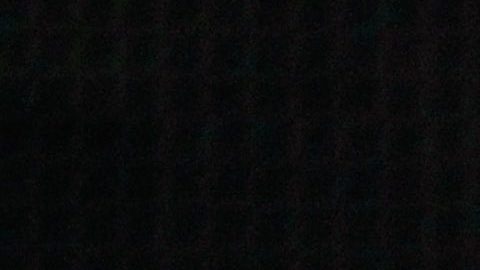 Parece que Luis Miguel va muy en serio con Paloma Cuevas.