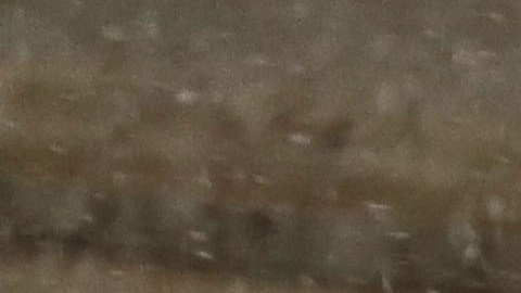 En la ciudad de Nueva York los vientos gélidos contribuyeron a sensaciones térmicas mucho más frías.