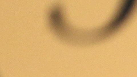 Kevin Costner quiere sacar provecho del impresionante rancho que tiene.