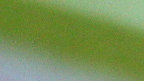 Christian Atsu antes de un juego de Premier League en 2020.