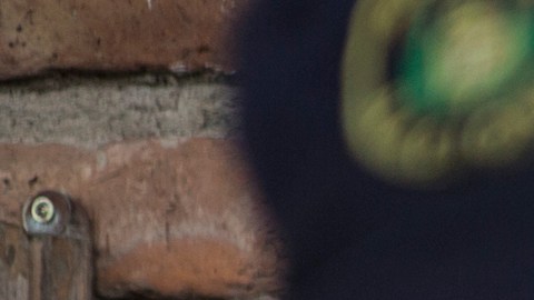 Uruguay Continues Vaccinating As Cases Surge