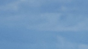 Ataque de tiburón en Nueva Caledonia