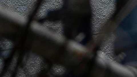 PUERTORICO-US-VERDEJO-CRIME-WOMEN-BOXING